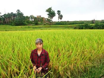 图：李桂林女士