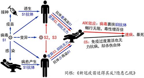 '图2：ADE效应简要图示。'