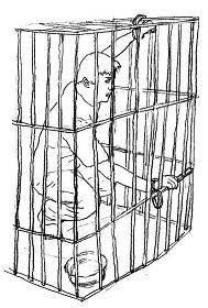 '铁笼子示意图'
